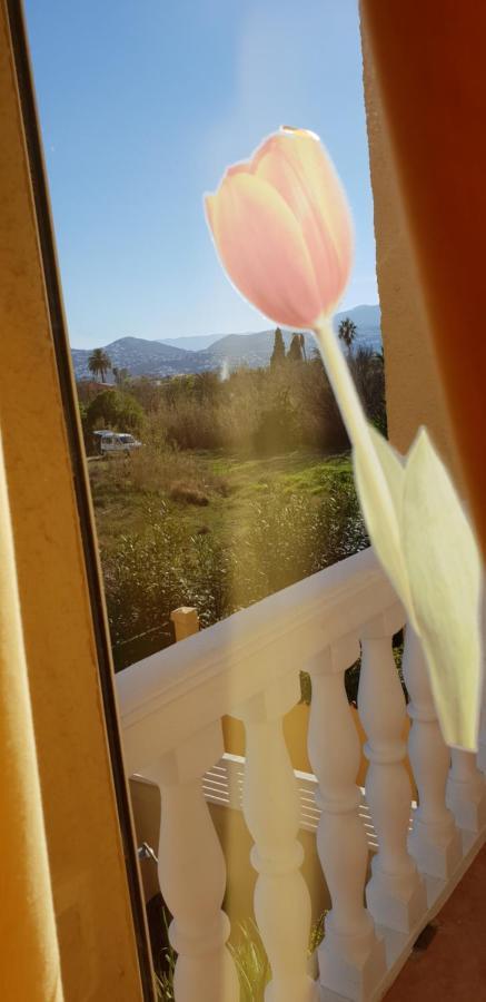 Apartamento Mar y Sol, Dénia Extérieur photo